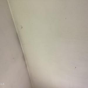 IMG_0202