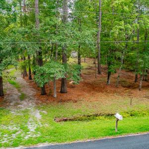 Front Yard View