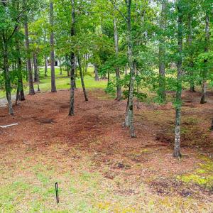 Lot Frontage