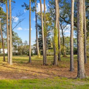 9-web-or-mls-_S3A0461