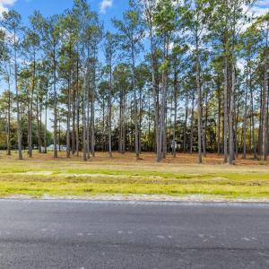 7-web-or-mls-_S3A0452