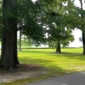 BARRINSTON WOODS ENTRY 3