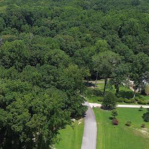 BARRINGTON WOODS 10