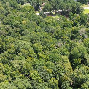 BARRINGTON WOODS 12