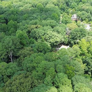 BARRINGTON WOODS 9