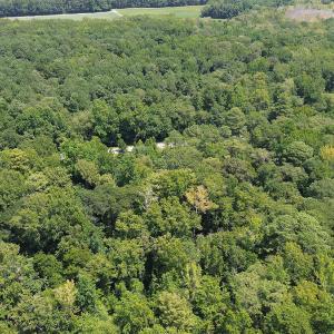 BARRINGTON WOODS 11