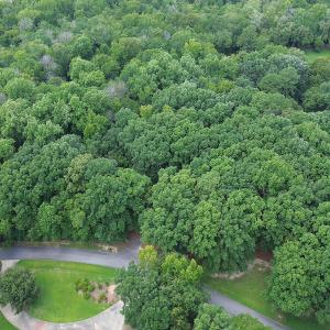 BARRINGTON WOODS 8