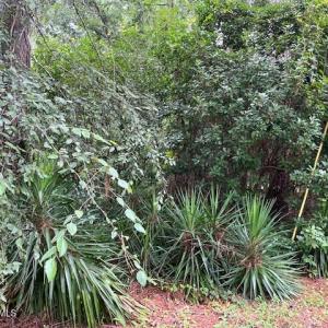 BARRINGTON WOODS 18