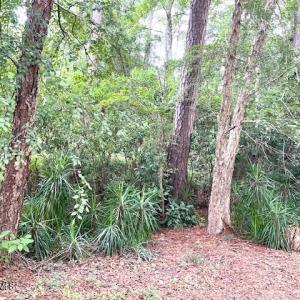 BARRINGTON WOODS 17