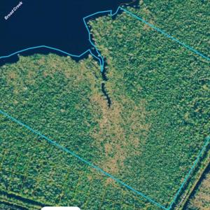 Property Outline