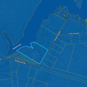 Wetland Flood Zone Pic
