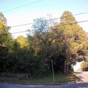 Hwy 74E - Pic 4