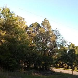 Hwy 74E - Pic 5