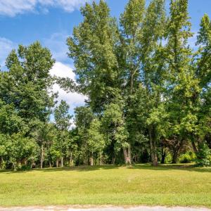 3-web-or-mls-Winding Creek Rd Lots 1 & 2