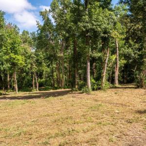 5-web-or-mls-Winding Creek Rd Lots 1 & 2
