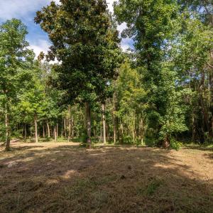 6-web-or-mls-Winding Creek Rd Lots 1 & 2