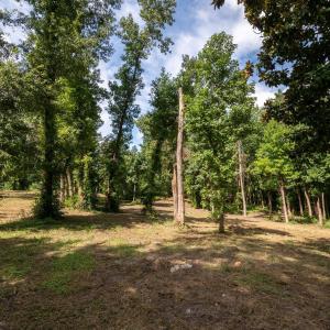 8-web-or-mls-Winding Creek Rd Lots 1 & 2
