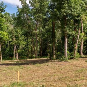 10-web-or-mls-Winding Creek Rd Lots 1 &