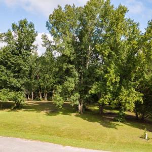 13-web-or-mls-Winding Creek Rd Lots 1 &