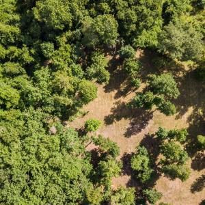 18-web-or-mls-Winding Creek Rd Lots 1 &