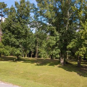 21-web-or-mls-Winding Creek Rd Lots 1 &