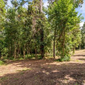 29-web-or-mls-Winding Creek Rd Lots 1 &