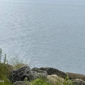 620 Seashore Dr