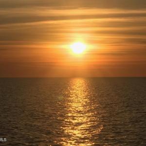 1) 60931-688a2c80c1476