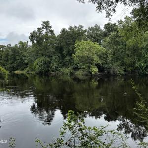 9 mallard water 5