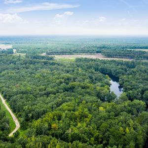 DJI_0636