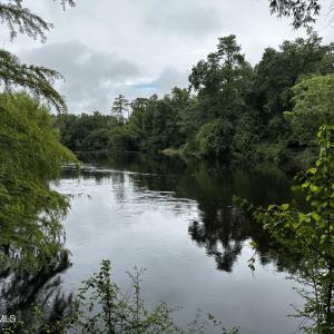 9 mallard water 3
