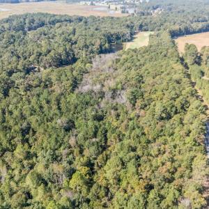 1425 Cypress Church Road