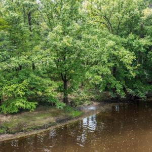 NE Cape Fear River