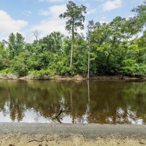 NE Cape Fear River
