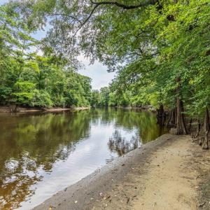 NE Cape Fear River