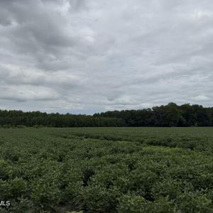IMG_0315 2