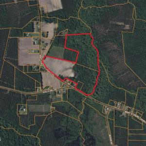 Screenshot 2025-08-05 at 12.26.22PM