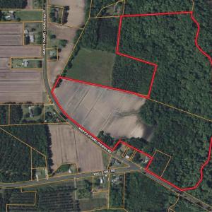 Screenshot 2025-08-05 at 12.25.59PM