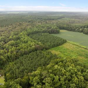 9-web-or-mls-DJI_0692