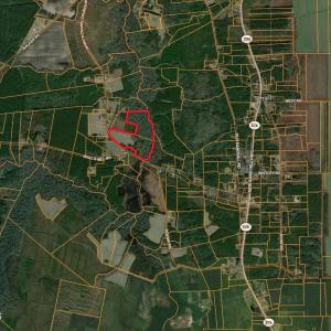 Screenshot 2025-08-05 at 12.26.47PM