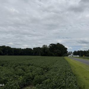 IMG_0317 2