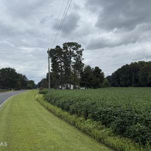 IMG_0309 2