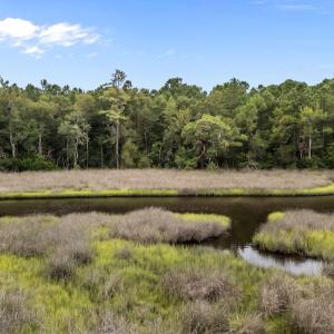 158 Starkey Creek (11)