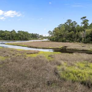 158 Starkey Creek (12)