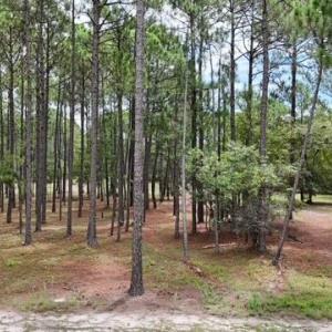 Front View of Lot from the Road