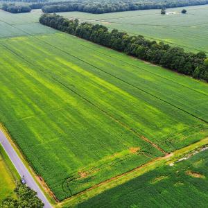 13-web-or-mls-little-river-shores-rd