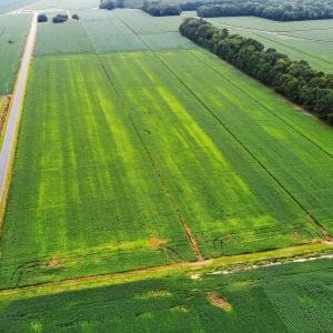 14-web-or-mls-little-river-shores-rd