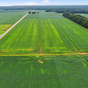 19-web-or-mls-little-river-shores-rd