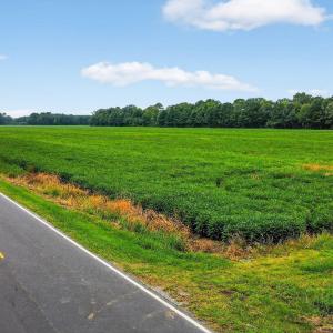 20-web-or-mls-little-river-shores-rd