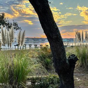 IMG_8620